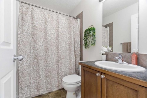 107 Cimarron Grove Circle, Okotoks, AB - Indoor Photo Showing Bathroom
