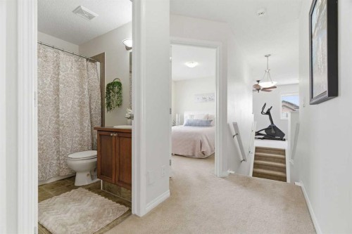 107 Cimarron Grove Circle, Okotoks, AB - Indoor Photo Showing Bathroom