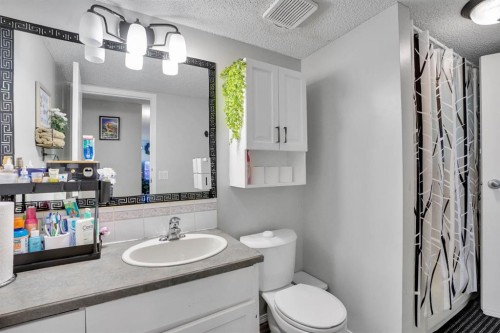 109-110 20 Avenue Ne, Calgary, AB - Indoor Photo Showing Bathroom