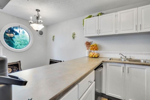 109-110 20 Avenue Ne, Calgary, AB - Indoor Photo Showing Kitchen With Double Sink