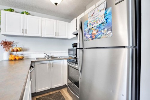 109-110 20 Avenue Ne, Calgary, AB - Indoor Photo Showing Kitchen With Stainless Steel Kitchen With Double Sink