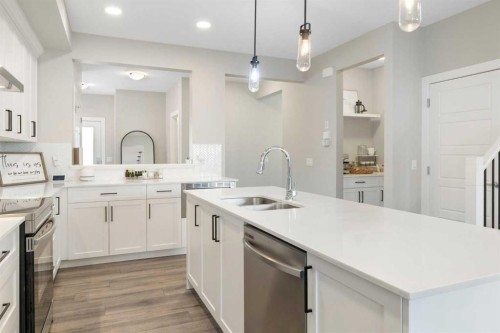53 Savanna Heath Ne, Calgary, AB - Indoor Photo Showing Kitchen With Double Sink With Upgraded Kitchen