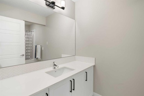 53 Savanna Heath Ne, Calgary, AB - Indoor Photo Showing Bathroom