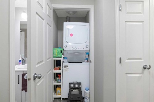 53 Savanna Heath Ne, Calgary, AB - Indoor Photo Showing Laundry Room