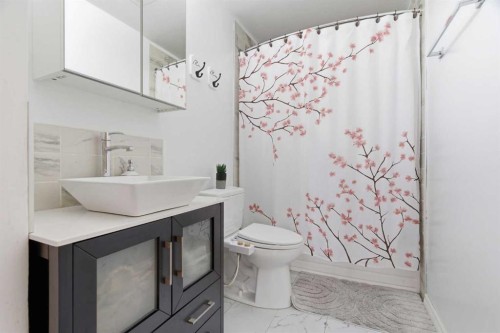 1011 18A Street Ne, Calgary, AB - Indoor Photo Showing Bathroom