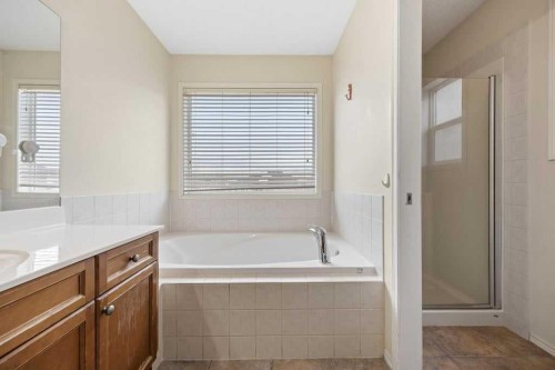 19 Sienna Park Crescent Sw, Calgary, AB - Indoor Photo Showing Bathroom