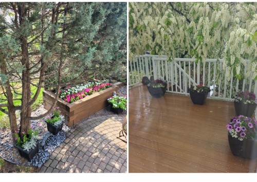 677 Hawkwood Boulevard Nw, Calgary, AB - Outdoor With Deck Patio Veranda