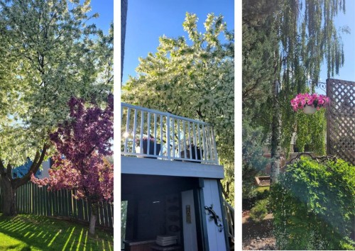 677 Hawkwood Boulevard Nw, Calgary, AB - Outdoor