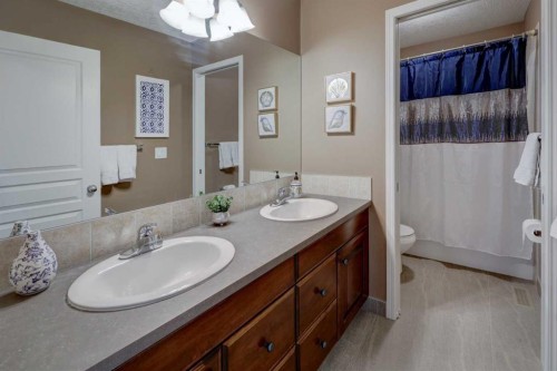 110 Royal Oak View Nw, Calgary, AB - Indoor Photo Showing Bathroom