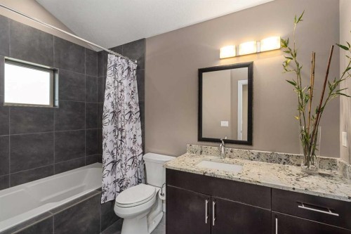521 9 Avenue Ne, Calgary, AB - Indoor Photo Showing Bathroom