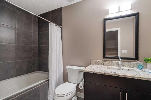 521 9 Avenue Ne, Calgary, AB - Indoor Photo Showing Bathroom