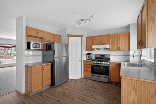317 Martindale Drive Ne, Calgary, AB - Indoor Photo Showing Kitchen With Double Sink
