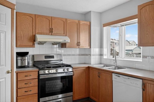 317 Martindale Drive Ne, Calgary, AB - Indoor Photo Showing Kitchen With Double Sink