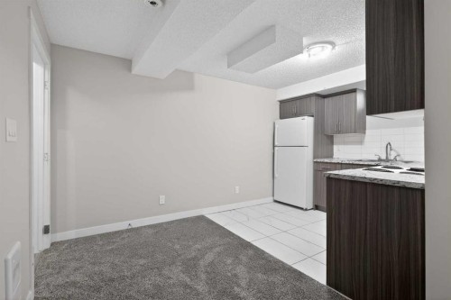 317 Martindale Drive Ne, Calgary, AB - Indoor Photo Showing Kitchen