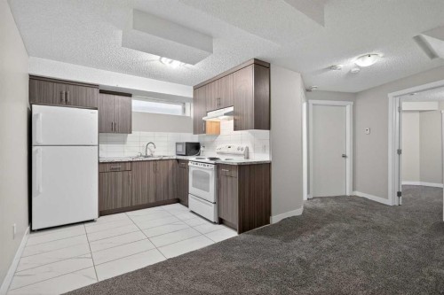317 Martindale Drive Ne, Calgary, AB - Indoor Photo Showing Kitchen