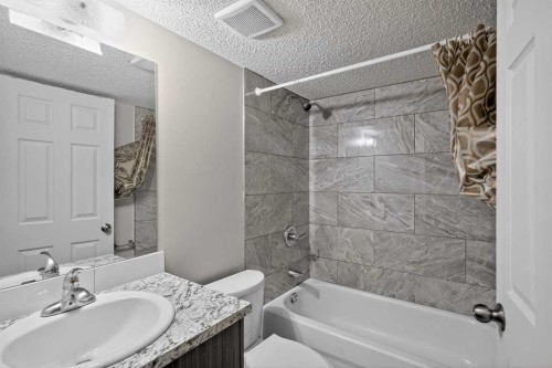 317 Martindale Drive Ne, Calgary, AB - Indoor Photo Showing Bathroom