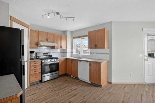 317 Martindale Drive Ne, Calgary, AB - Indoor Photo Showing Kitchen With Double Sink