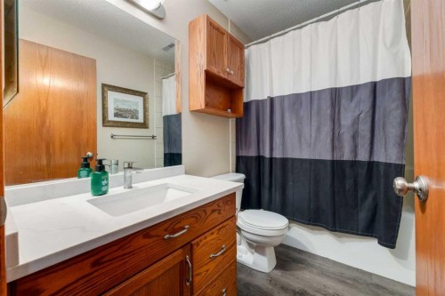258 Millview Gardens Sw, Calgary, AB - Indoor Photo Showing Bathroom