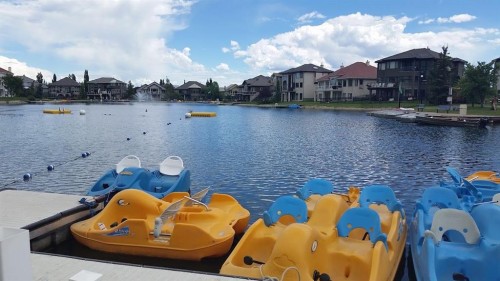 40 Arbour Estates Green Nw, Calgary, AB - Outdoor With Body Of Water With View