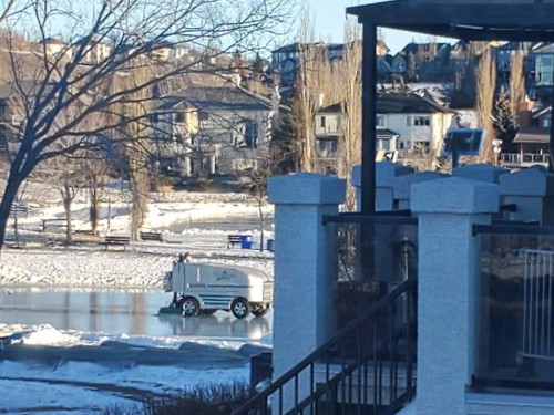 40 Arbour Estates Green Nw, Calgary, AB - Outdoor