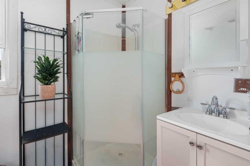 4503 Bowness Road Nw, Calgary, AB - Indoor Photo Showing Bathroom