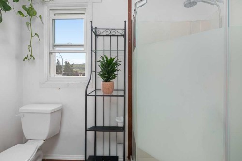 4503 Bowness Road Nw, Calgary, AB - Indoor Photo Showing Bathroom