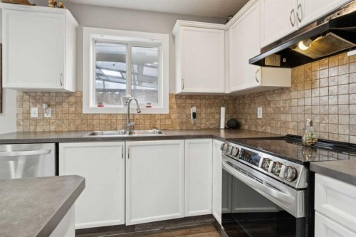 45 Copperfield Heath Se, Calgary, AB - Indoor Photo Showing Kitchen With Double Sink With Upgraded Kitchen
