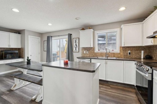 45 Copperfield Heath Se, Calgary, AB - Indoor Photo Showing Kitchen With Double Sink