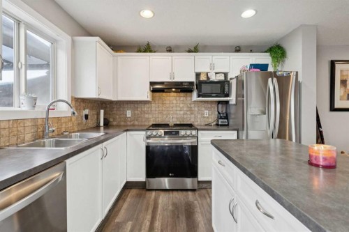 45 Copperfield Heath Se, Calgary, AB - Indoor Photo Showing Kitchen With Double Sink With Upgraded Kitchen