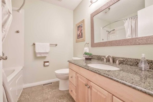 232 Templeside Circle Ne, Calgary, AB - Indoor Photo Showing Bathroom