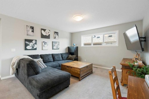 217 Buckskin Way, Cochrane, AB - Indoor Photo Showing Living Room