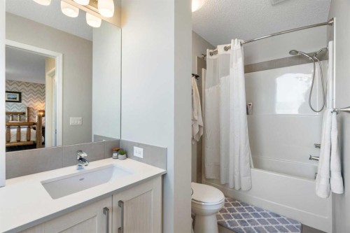 217 Buckskin Way, Cochrane, AB - Indoor Photo Showing Bathroom