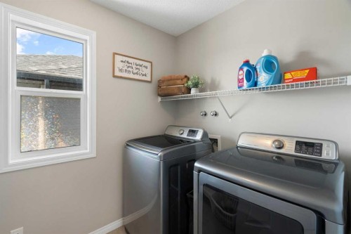 217 Buckskin Way, Cochrane, AB - Indoor Photo Showing Laundry Room