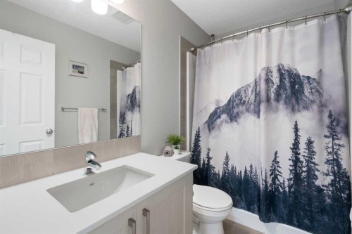 217 Buckskin Way, Cochrane, AB - Indoor Photo Showing Bathroom