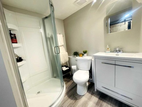 217 Buckskin Way, Cochrane, AB - Indoor Photo Showing Bathroom