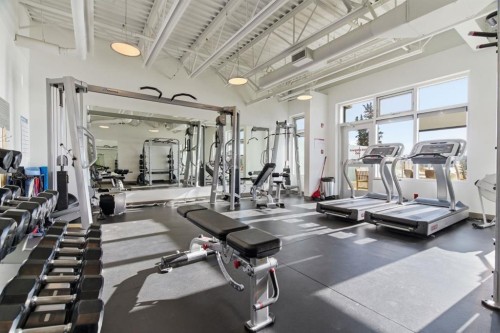 419 Cottageclub Cove, Rural Rocky View County, AB - Indoor Photo Showing Gym Room