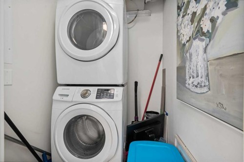 311-200 Auburn Meadows Common Se, Calgary, AB - Indoor Photo Showing Laundry Room