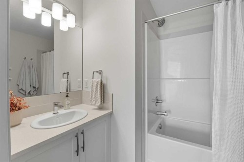 102-474 Seton Circle Se, Calgary, AB - Indoor Photo Showing Bathroom