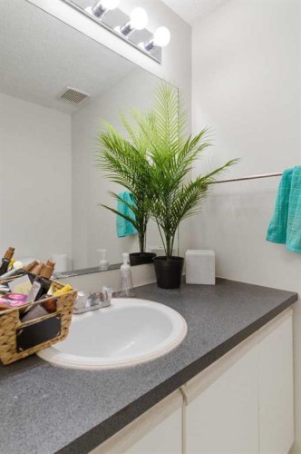 59 Abbeydale Villas Ne, Calgary, AB - Indoor Photo Showing Bathroom