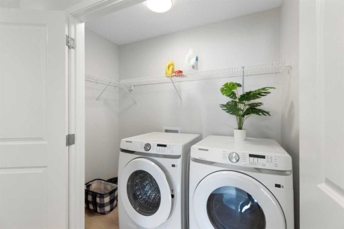 608-20295 Seton Way Se, Calgary, AB - Indoor Photo Showing Laundry Room