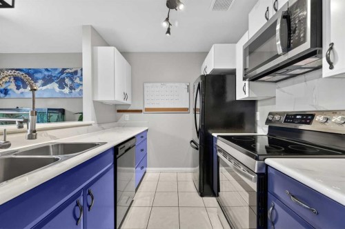 5-111 Grier Terrace Ne, Calgary, AB - Indoor Photo Showing Kitchen With Double Sink