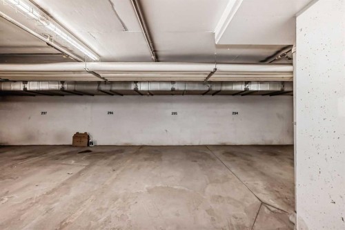 1125-60 Panatella Street Nw, Calgary, AB - Indoor Photo Showing Garage