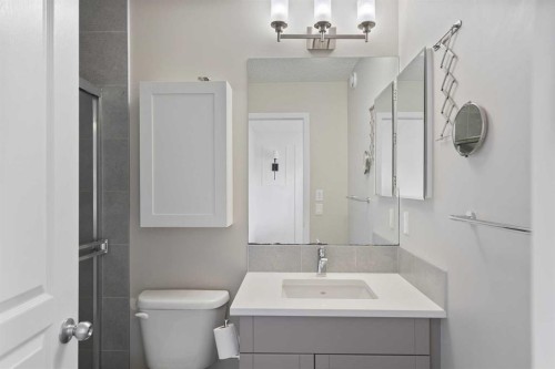 849 Mahogany Boulevard Se, Calgary, AB - Indoor Photo Showing Bathroom