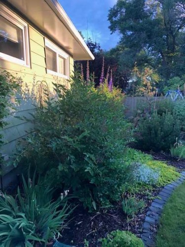 27 Gladeview Crescent Sw, Calgary, AB - Outdoor