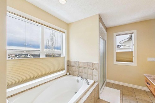 167 Evanston View Nw, Calgary, AB - Indoor Photo Showing Bathroom