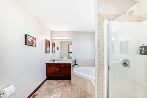148 Hawkmere Way, Chestermere, AB - Indoor Photo Showing Bathroom