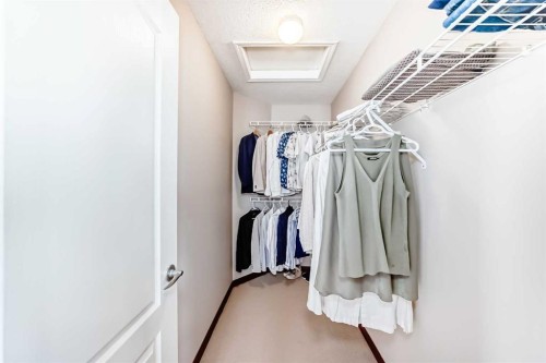 148 Hawkmere Way, Chestermere, AB - Indoor With Storage