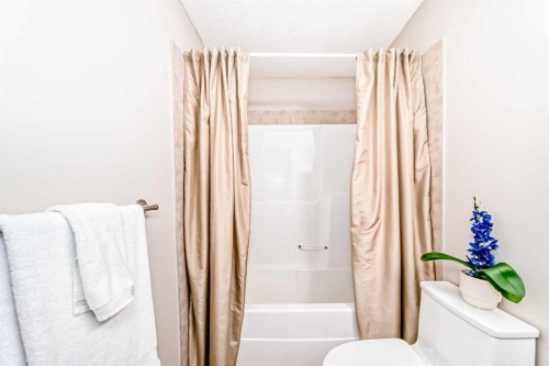 148 Hawkmere Way, Chestermere, AB - Indoor Photo Showing Bathroom