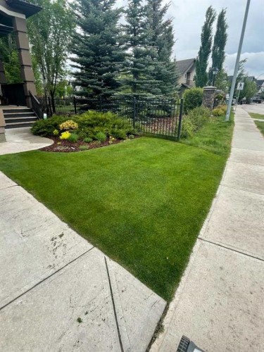 36 Cranarch Grove Se, Calgary, AB - Outdoor