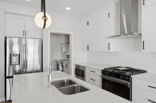 84 Lewiston View Ne, Calgary, AB - Indoor Photo Showing Kitchen With Double Sink With Upgraded Kitchen
